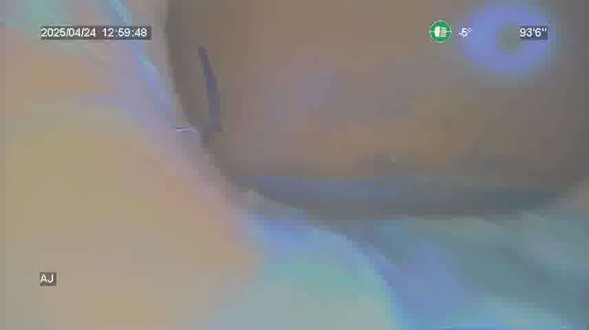 Frame